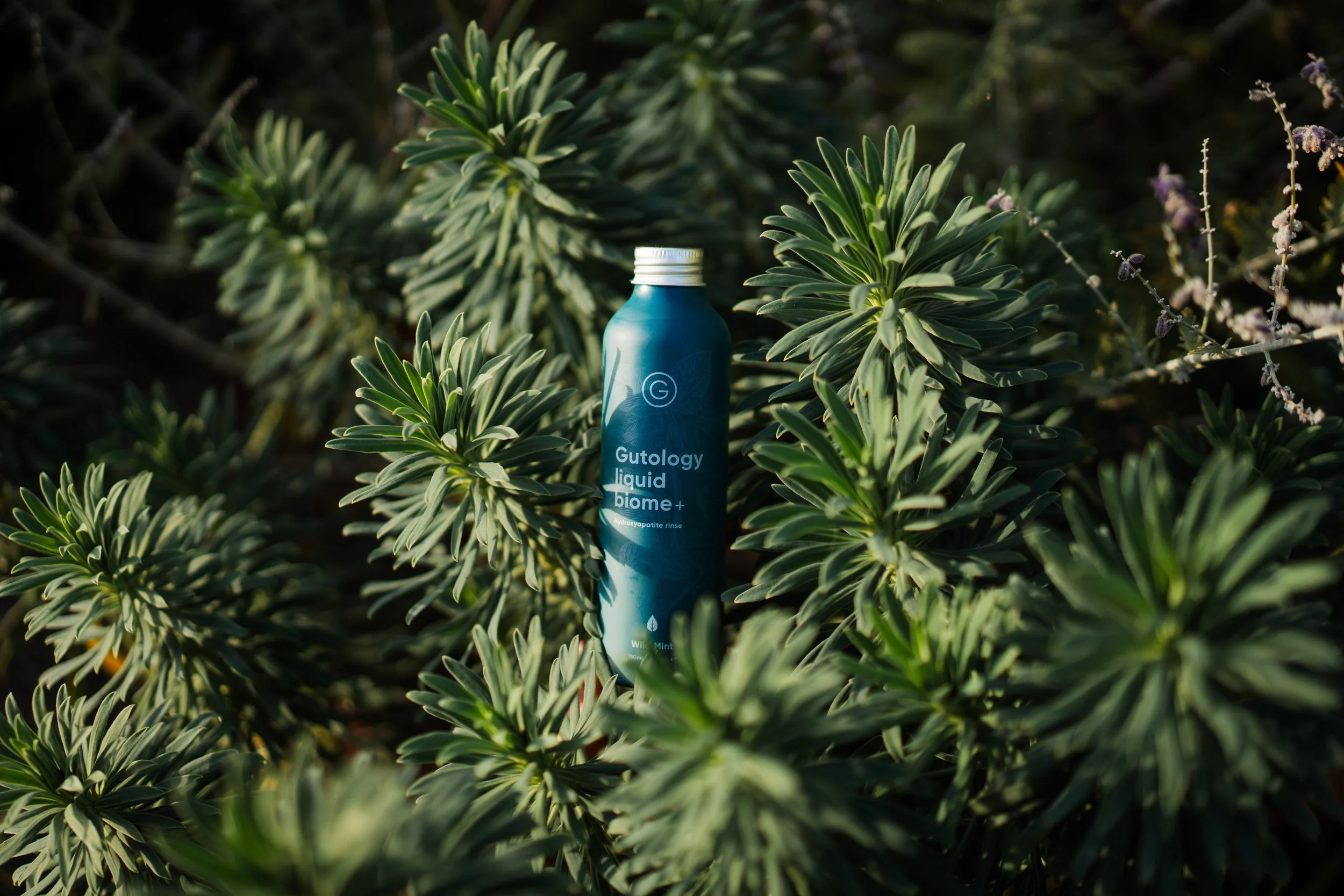 Gutology Edit-27.jpg