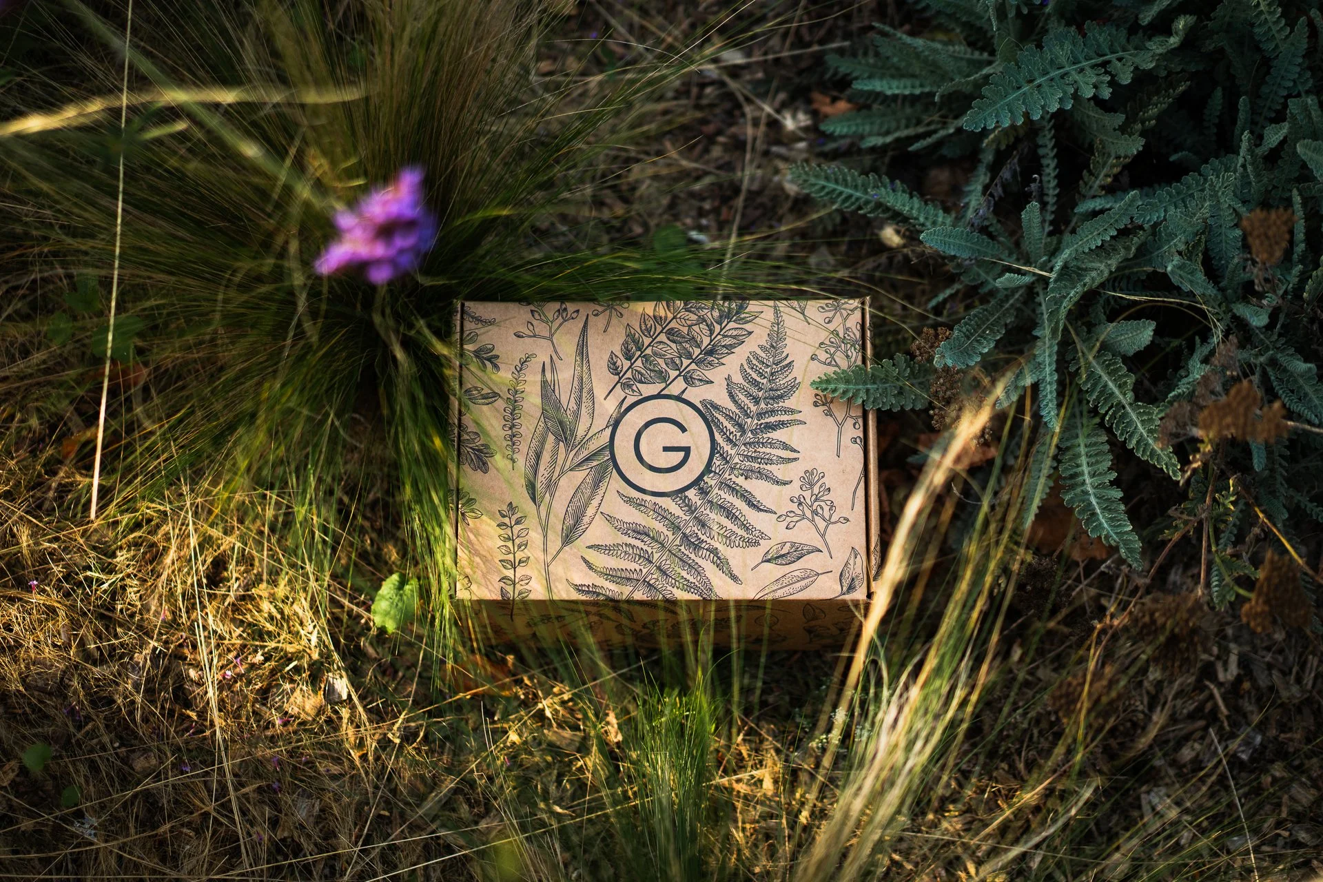 Gutology Edit-29-2.jpg