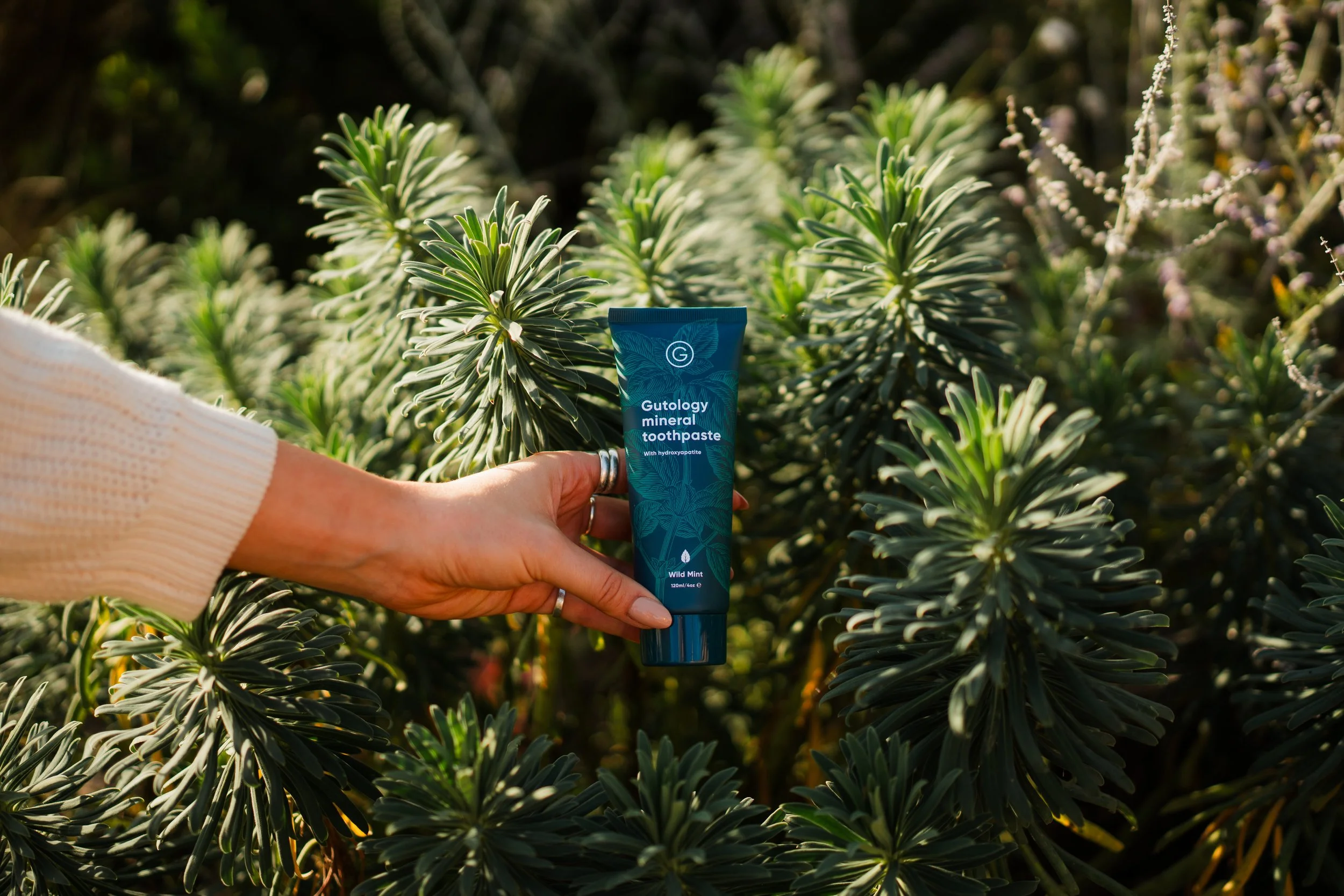 Gutology Edit-26.jpg