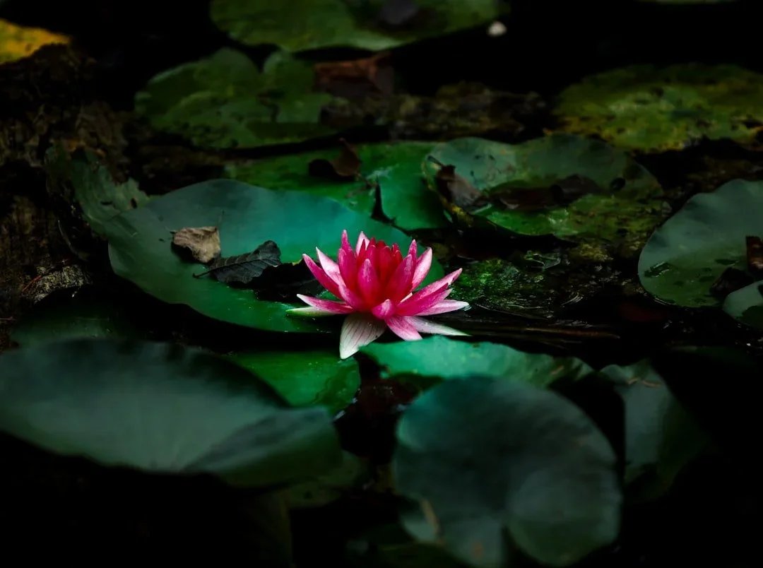 Operator to Architect Foundation