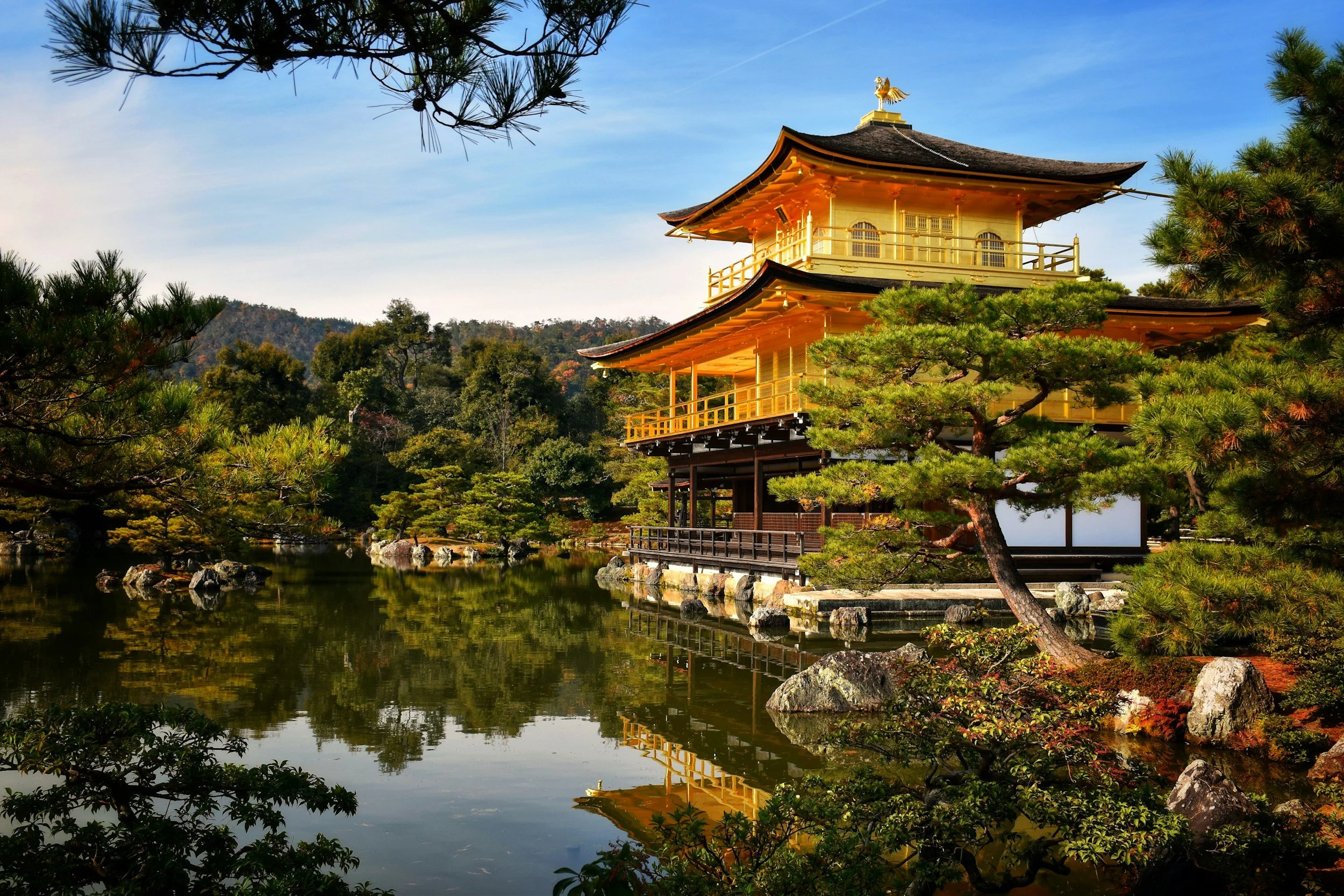 A traditional Japanese temple with golden walls and black roof, surrounded by lush green trees and reflected in a peaceful pond.
