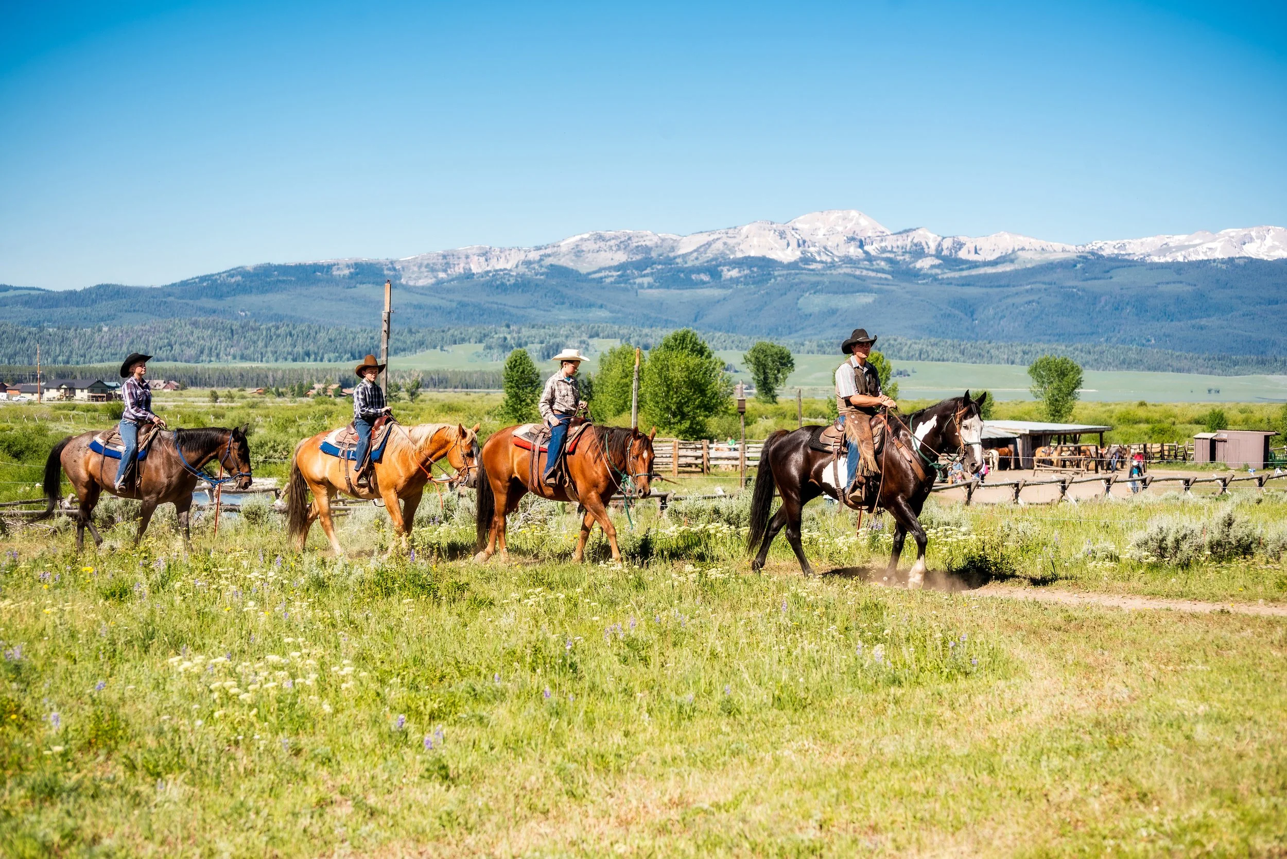 Four people riding horses in a green field with mountains in the background on a sunny day.