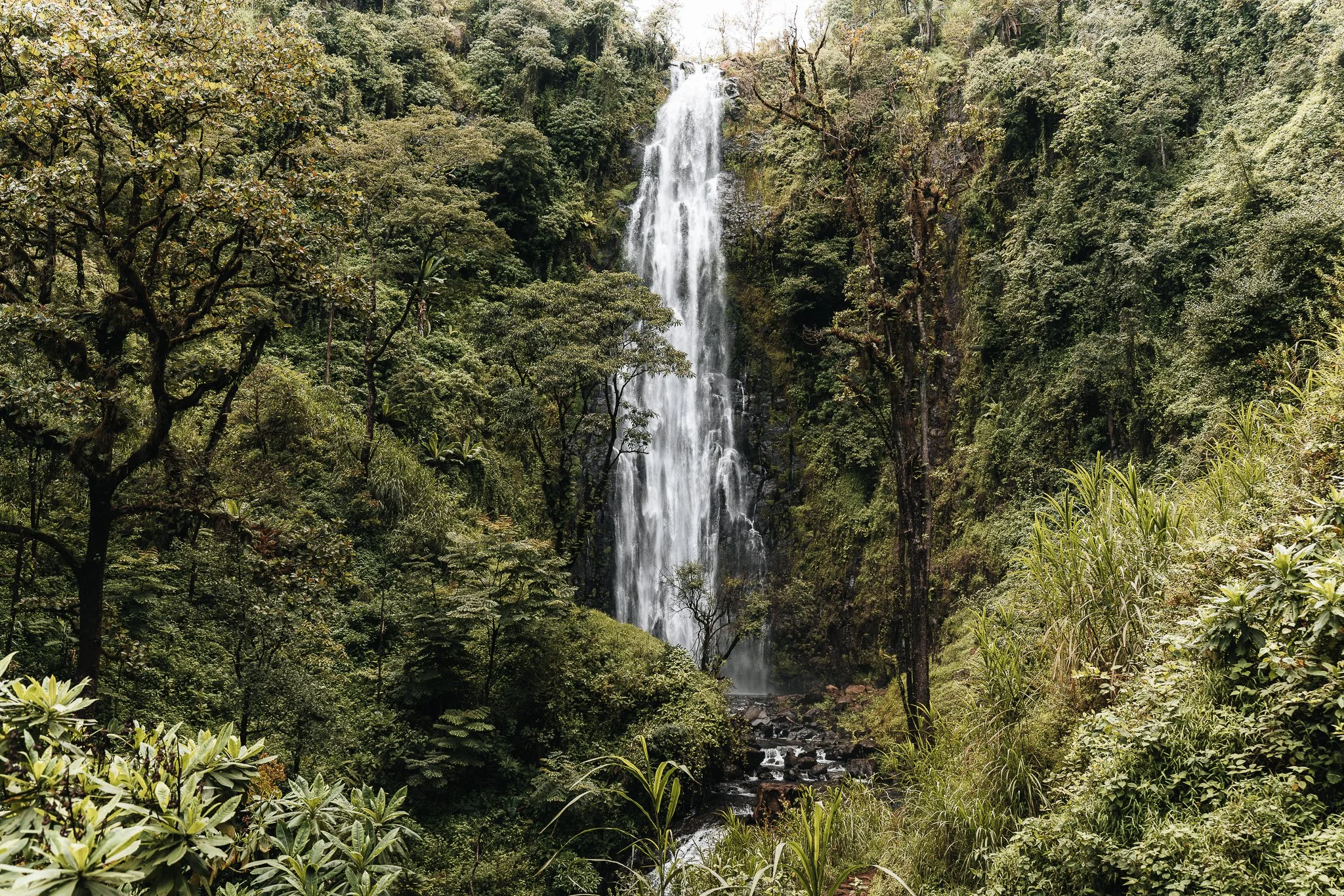 Kilimandjaro Site-2.jpg