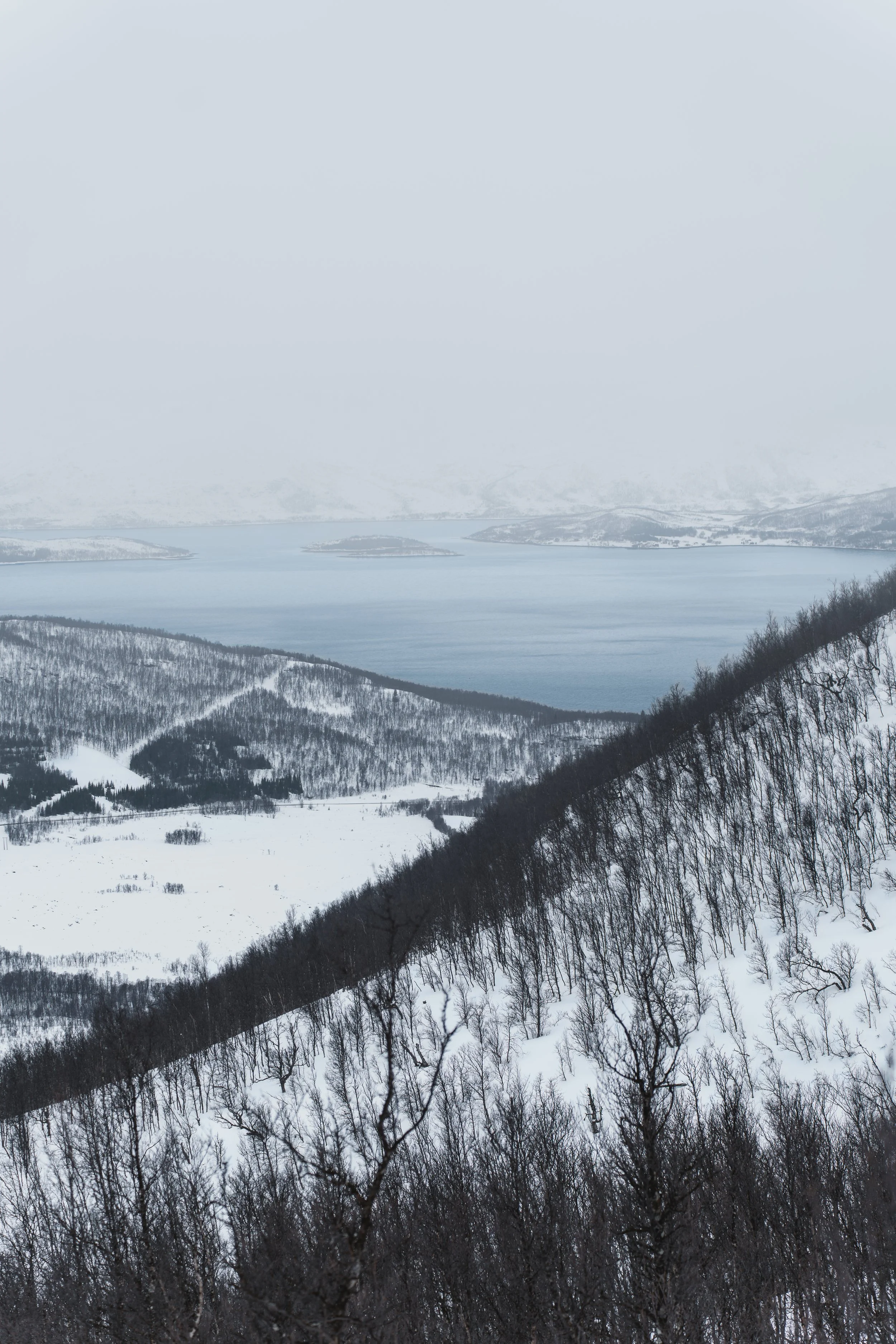 Norway 2025-47.jpg