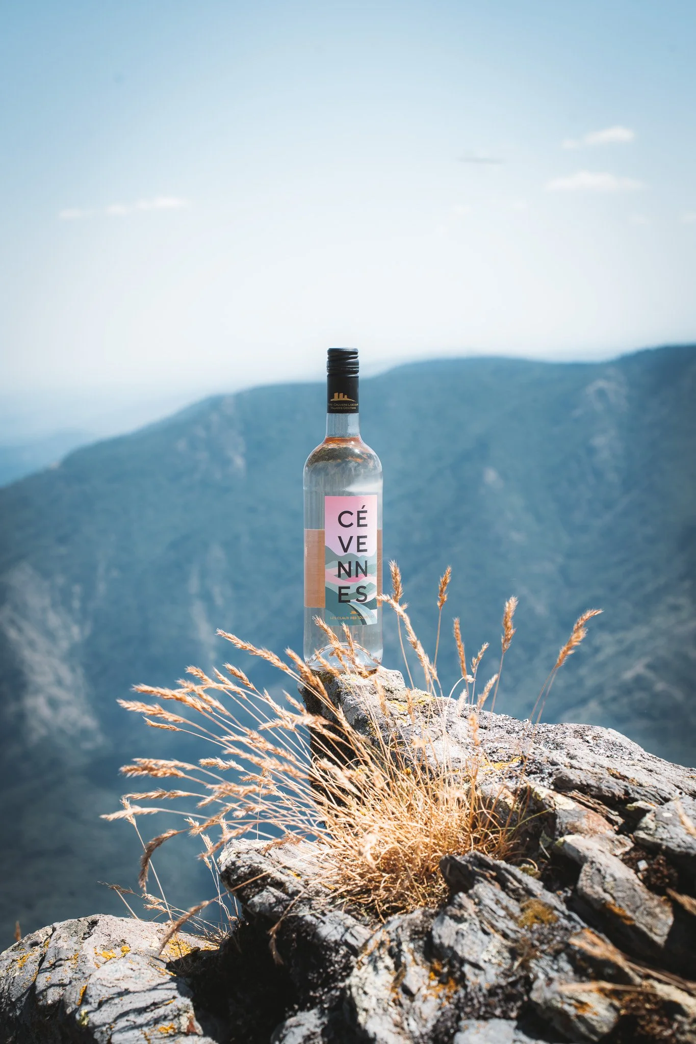 Shooting Bouteilles-15.jpg