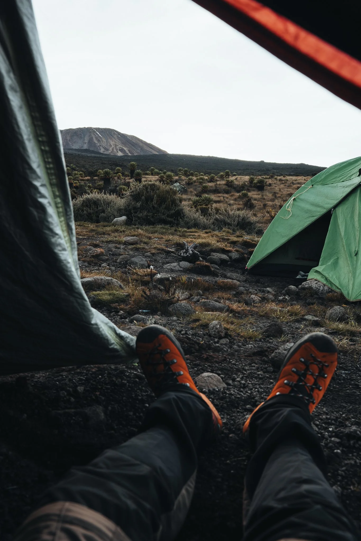 Kilimandjaro Site-6.jpg
