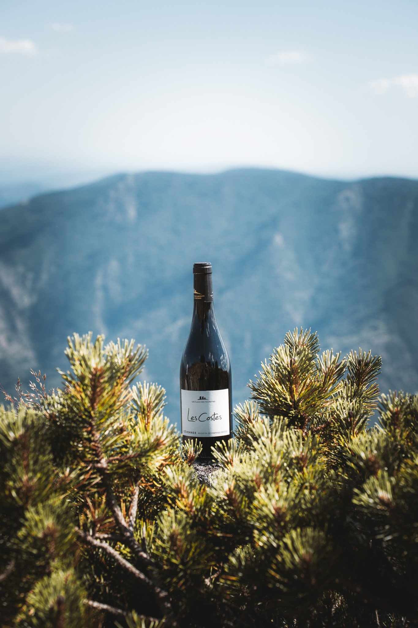 Shooting bouteille de vin .jpg