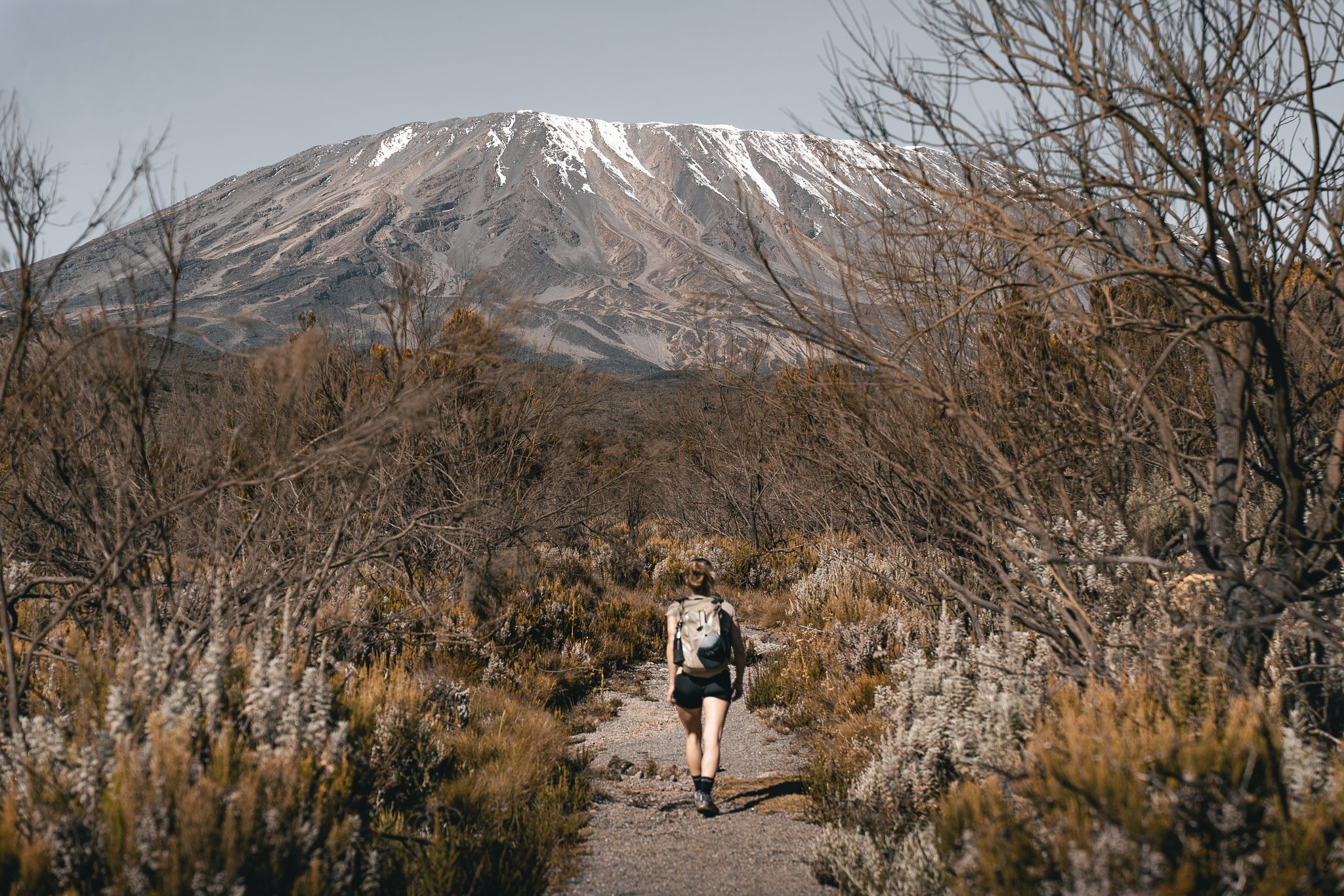 Kilimandjaro Site-3.jpg