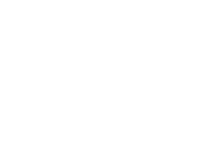 logo-4.png