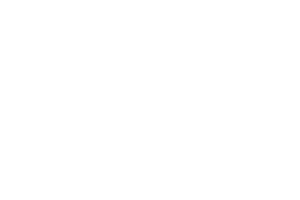 logo-3.png