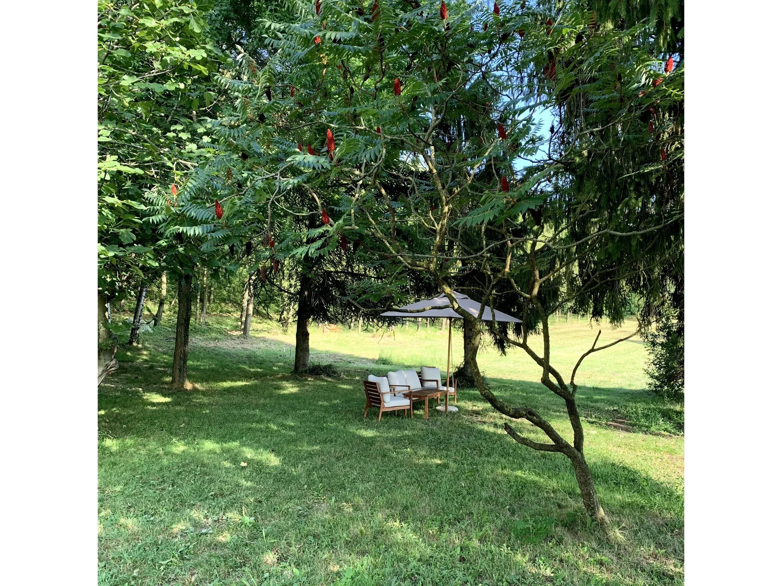 garden+cascina+borine.jpg