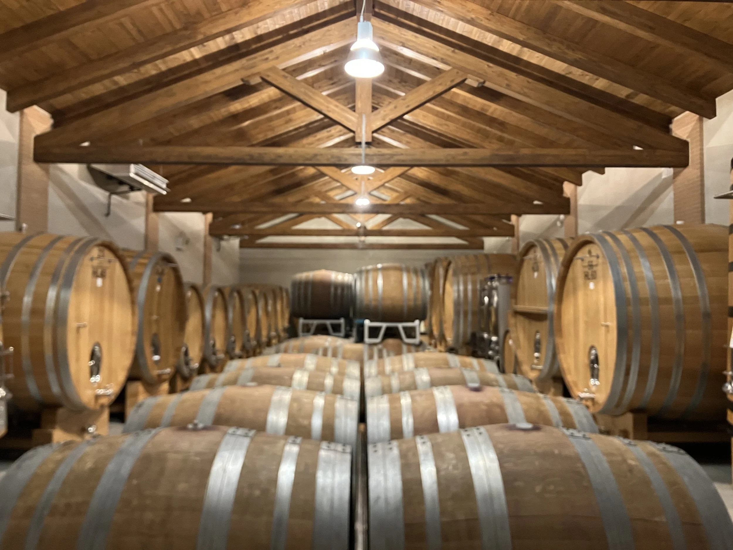 Bruna Grimaldi_Cellar.JPG