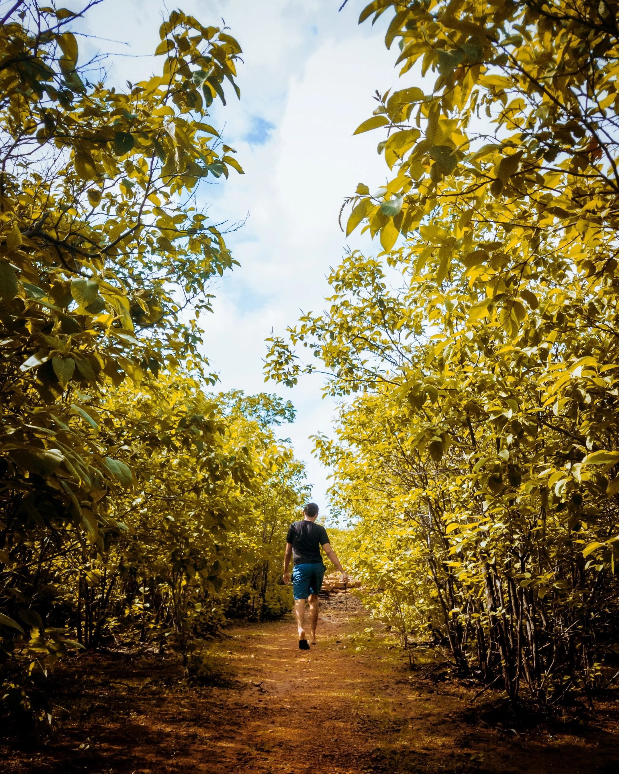 Hiking in the Langhe hills
