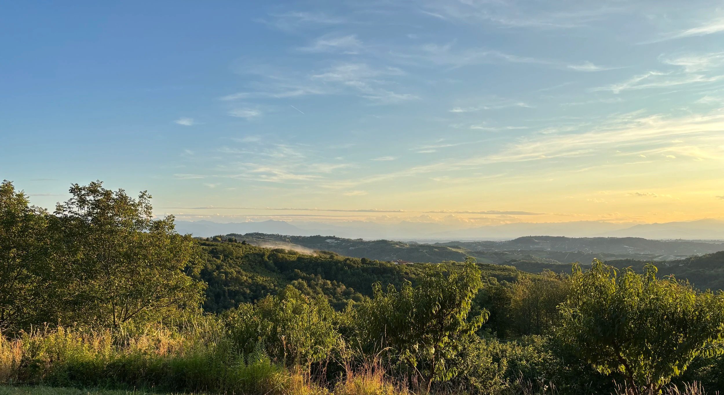 A scenic landscape with rolling green hills, trees in the foreground, and a bright sky with scattered clouds during sunset or sunrise.