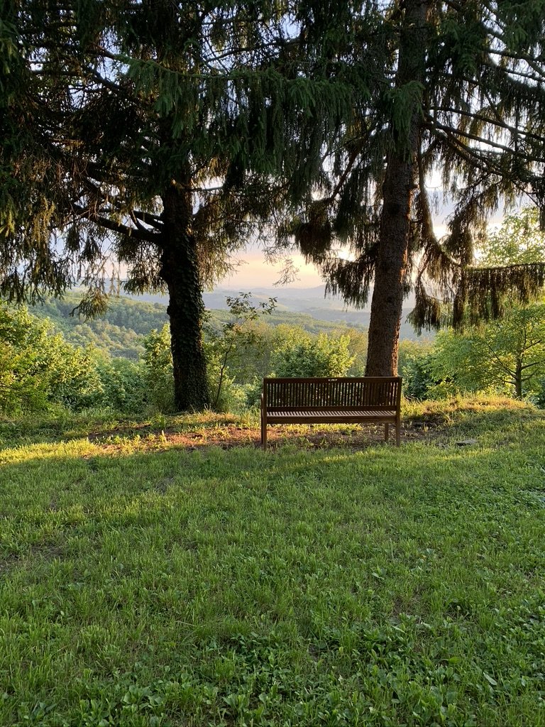 A wooden bench in a grassy area under a large pine tree with a scenic view of distant hills and trees at sunset.