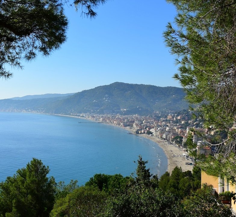 A scenic view of a coastal city with a curved beach, blue ocean, and green hills in the background, partially framed by pine trees.