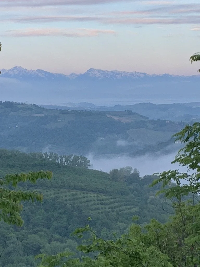 Scenic view of Barolo vineyards in Piemonte