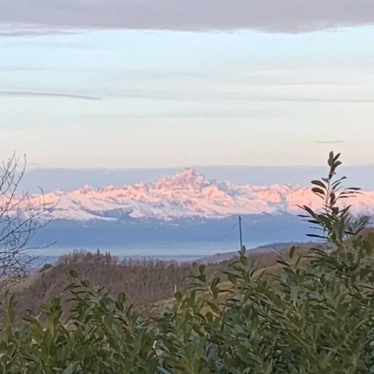 Snow-capped mountain view of Barolo vineyards