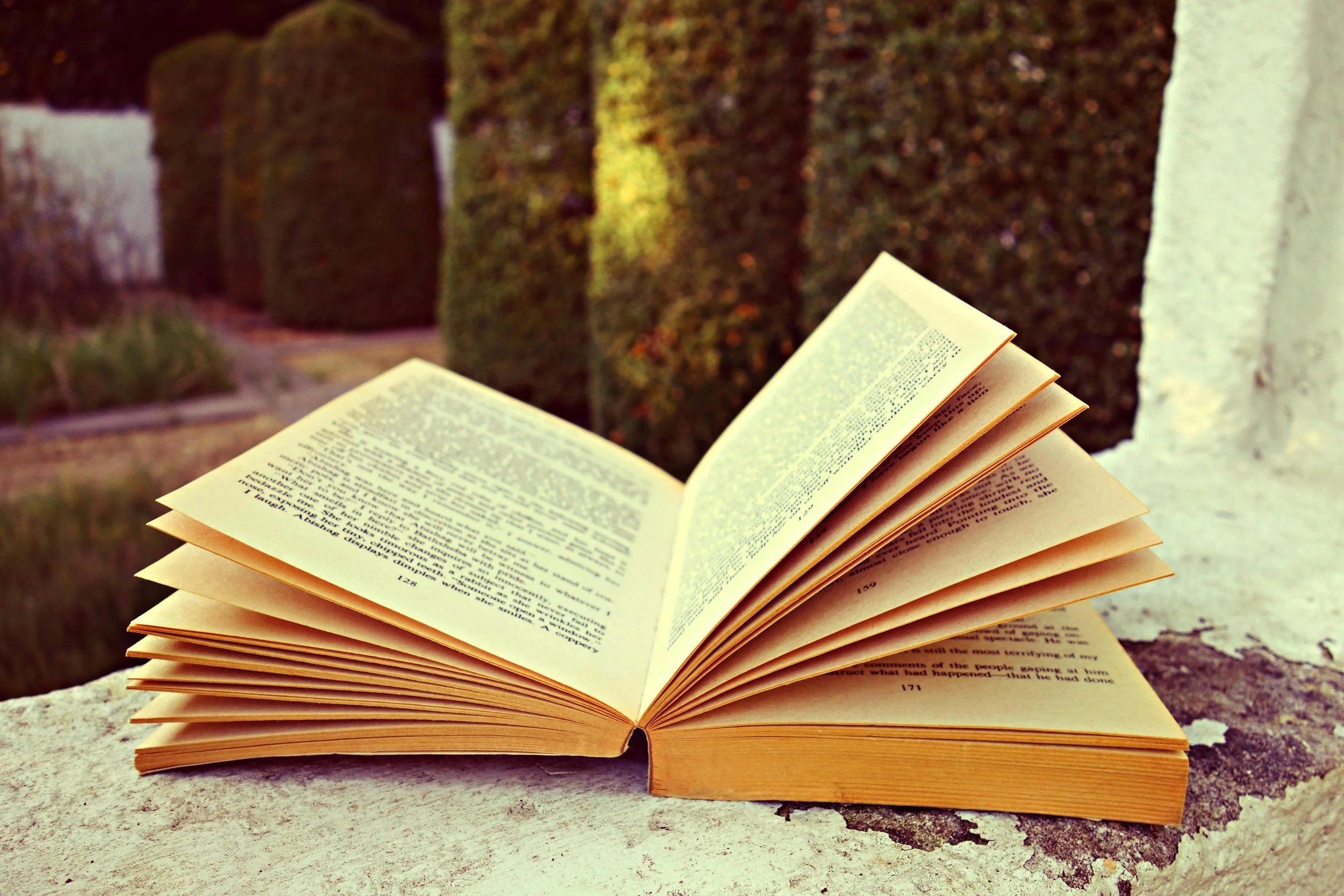 Wide selection of books: 

Throughout the house you will find a wide selection of books in English, French or Dutch. Being curious minds, various topics are covered including novels, cooking, wine, economics, philosphy, travel or design...