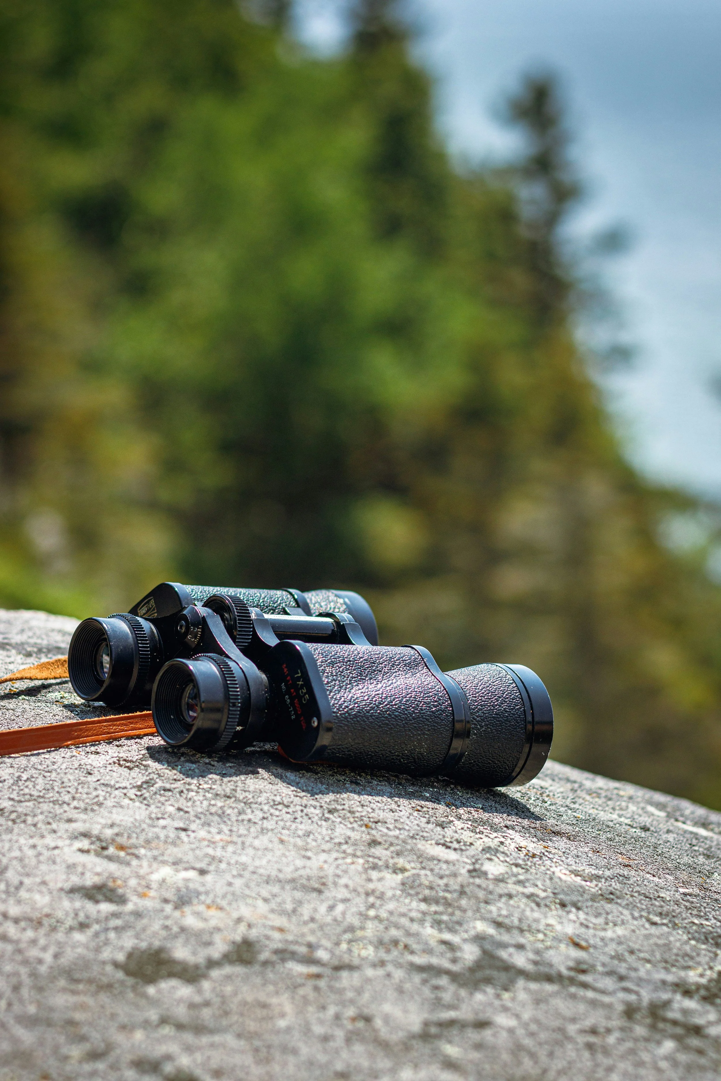 A pair of binoculars resting on a flat surface outdoors with a blurred green and blue background.
