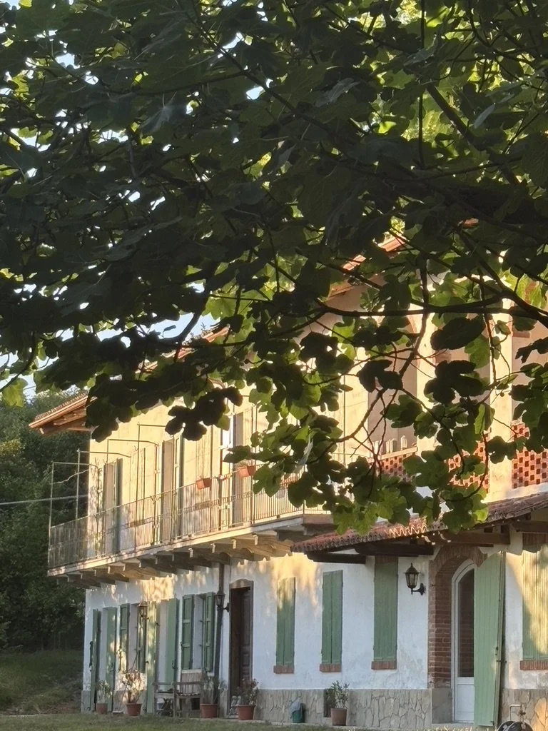 A house with green shutters, a balcony, and potted plants in front, partially obscured by tree branches and leaves.