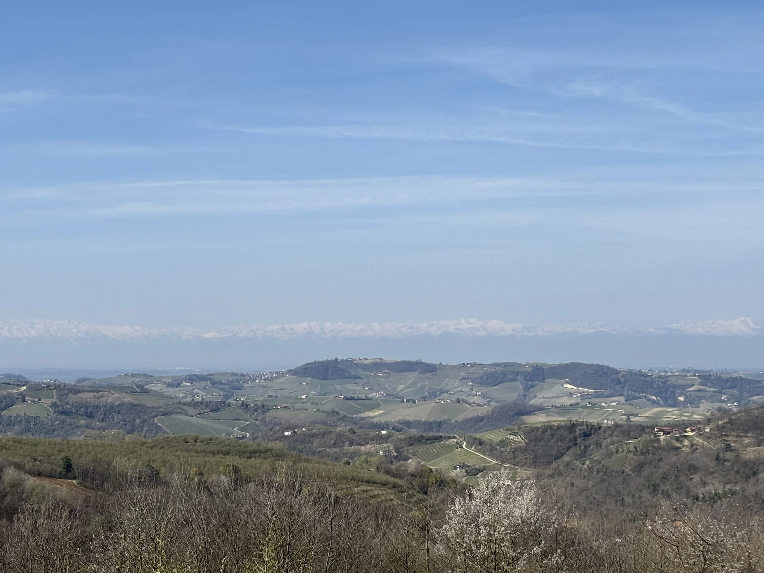 Scenic view of rolling green hills and vineyards with mountains in the distance under a blue sky with wispy clouds.