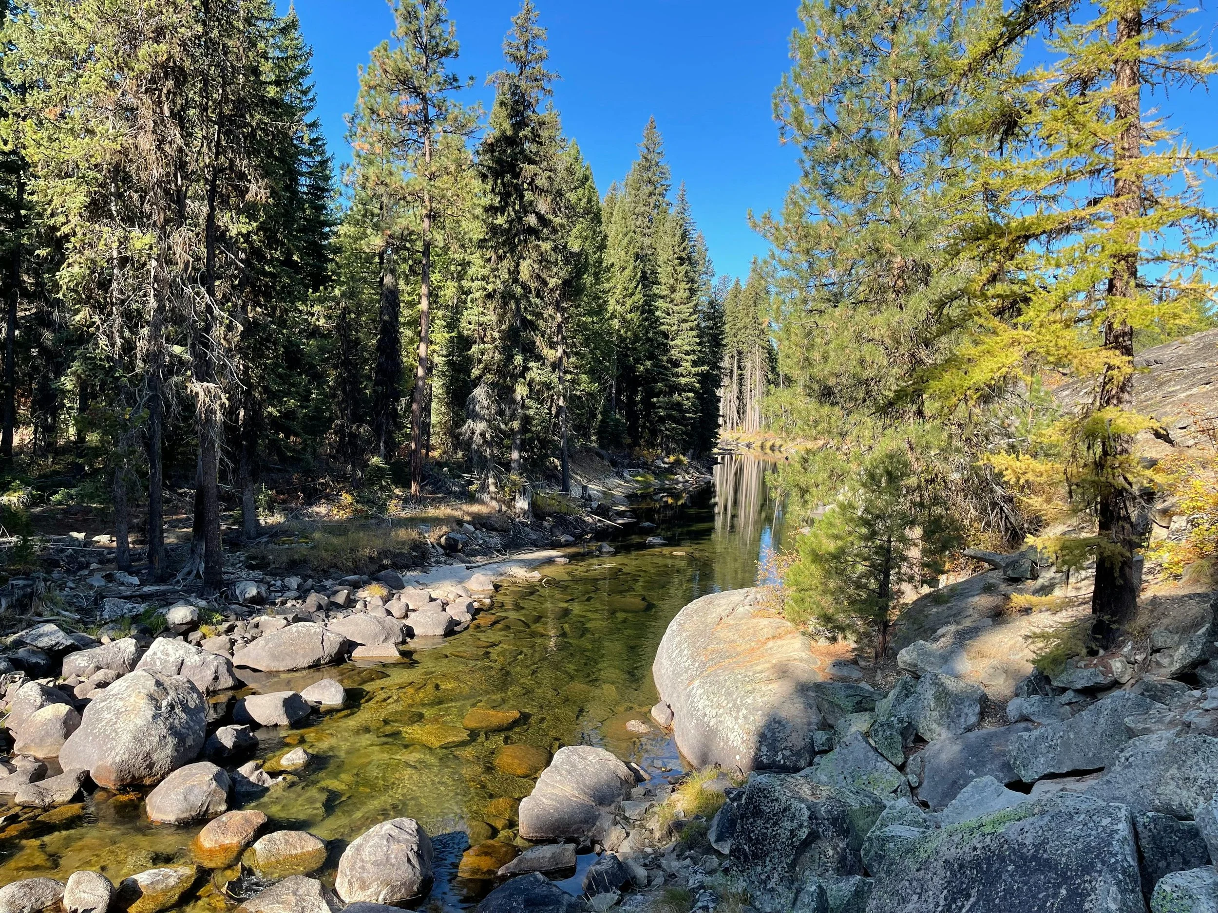 Best Campgrounds in McCall, Idaho