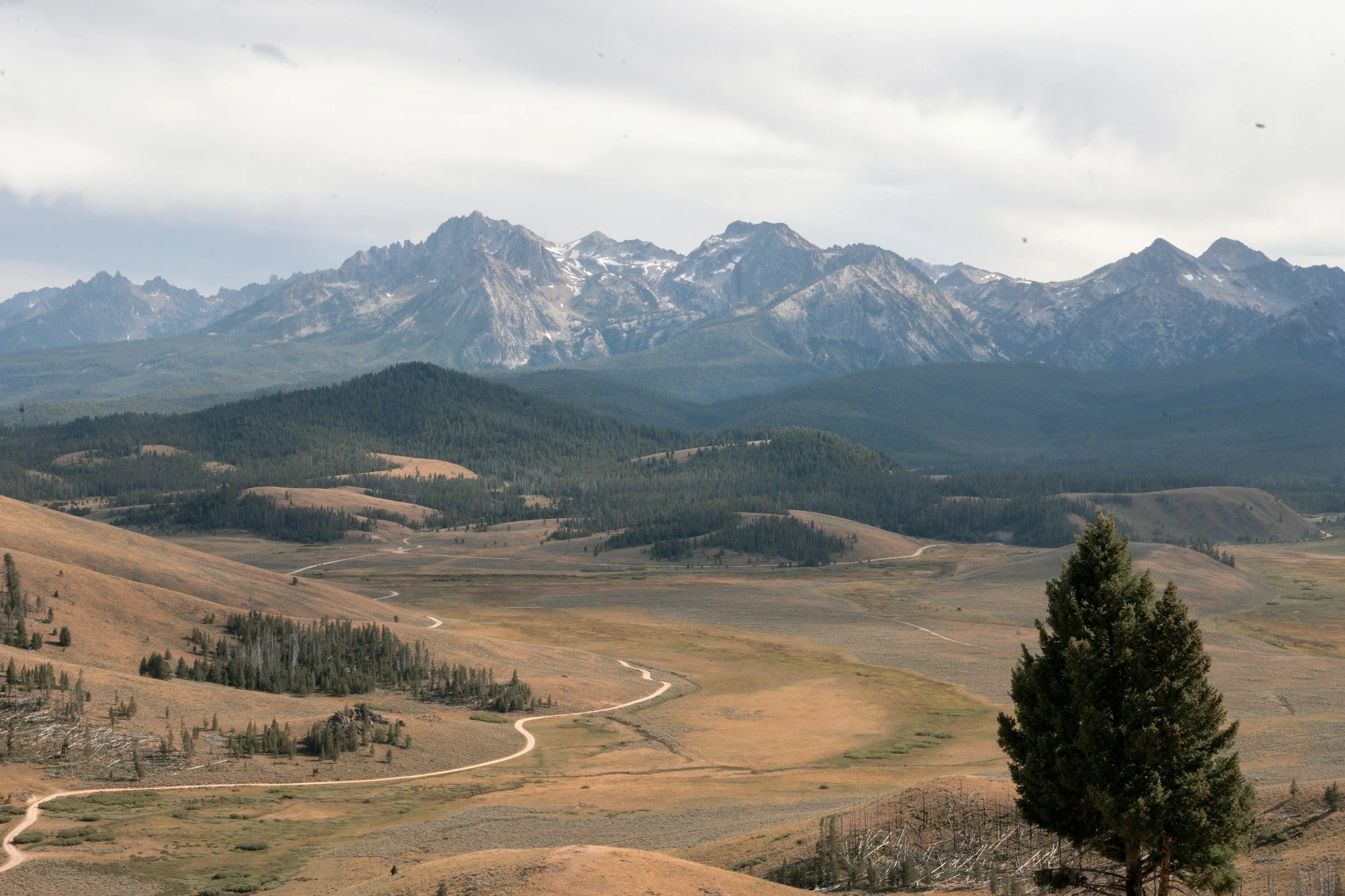 Where to Camp Near Redfish Lake