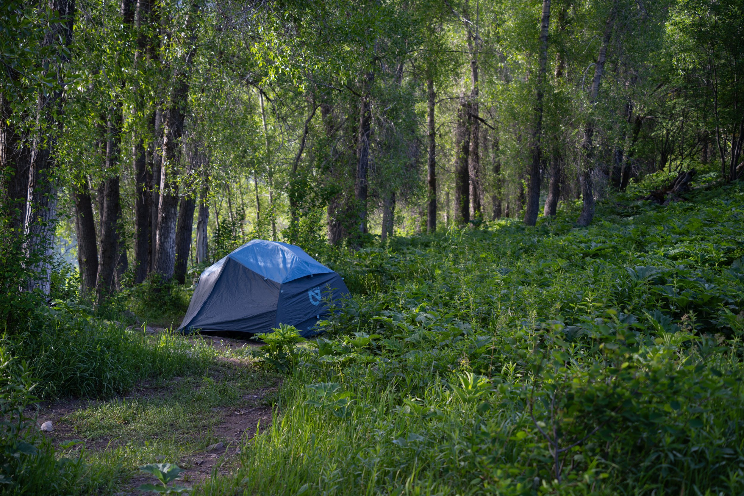 Best Camping Near Garden Valley, Idaho
