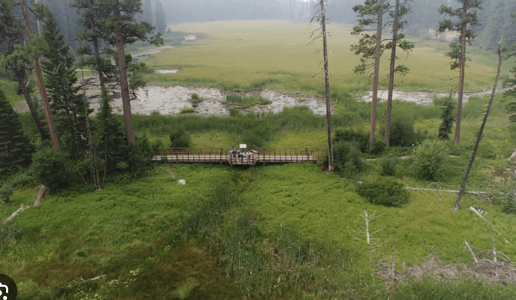 Camping in Ponderosa State Park