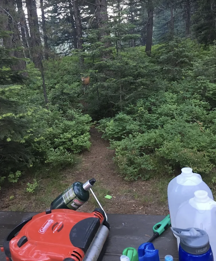 Northwest Passage Campground McCall