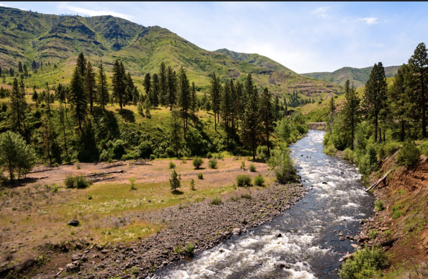 Lake Creek Road #246 McCall Idaho Camping