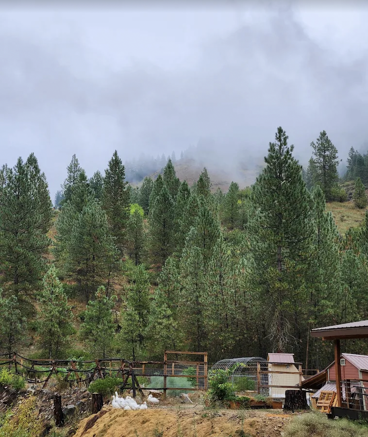 Creekside Campground Idaho City