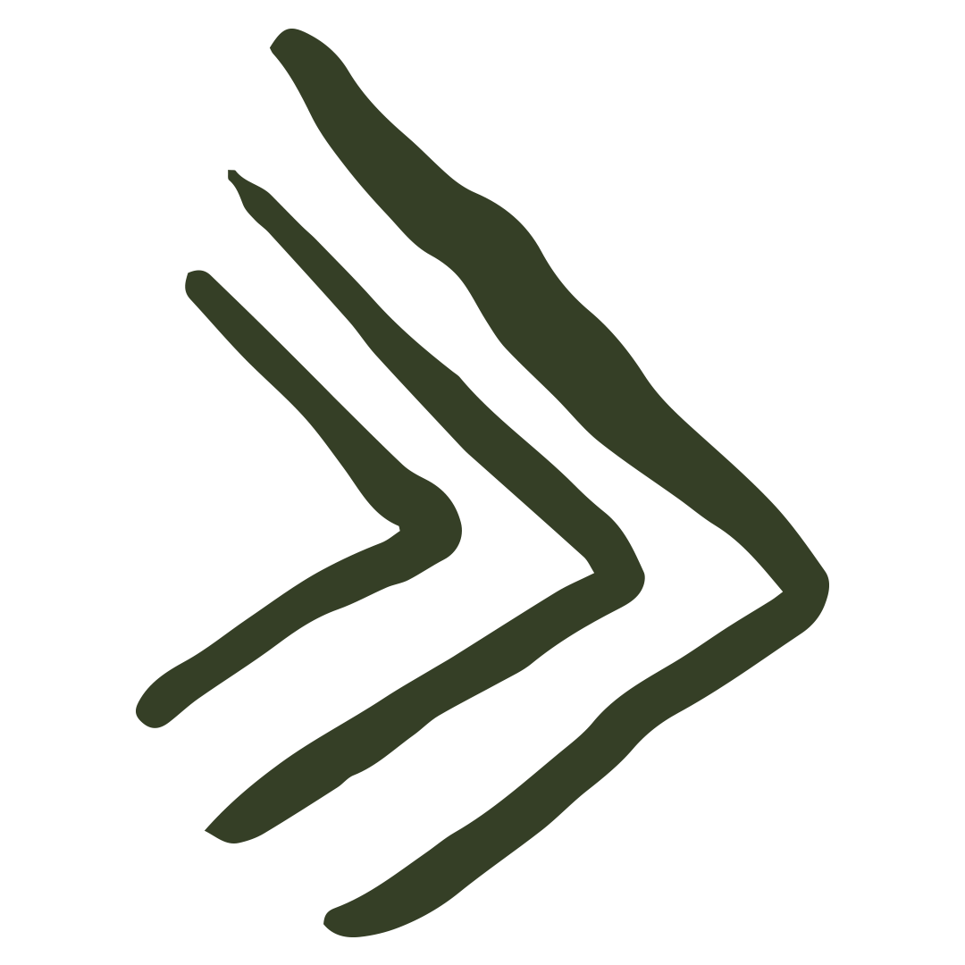 Stylized dark green arrow pointing right with three lines on a white background representing forward momentum, leadership, and transformation or social change.