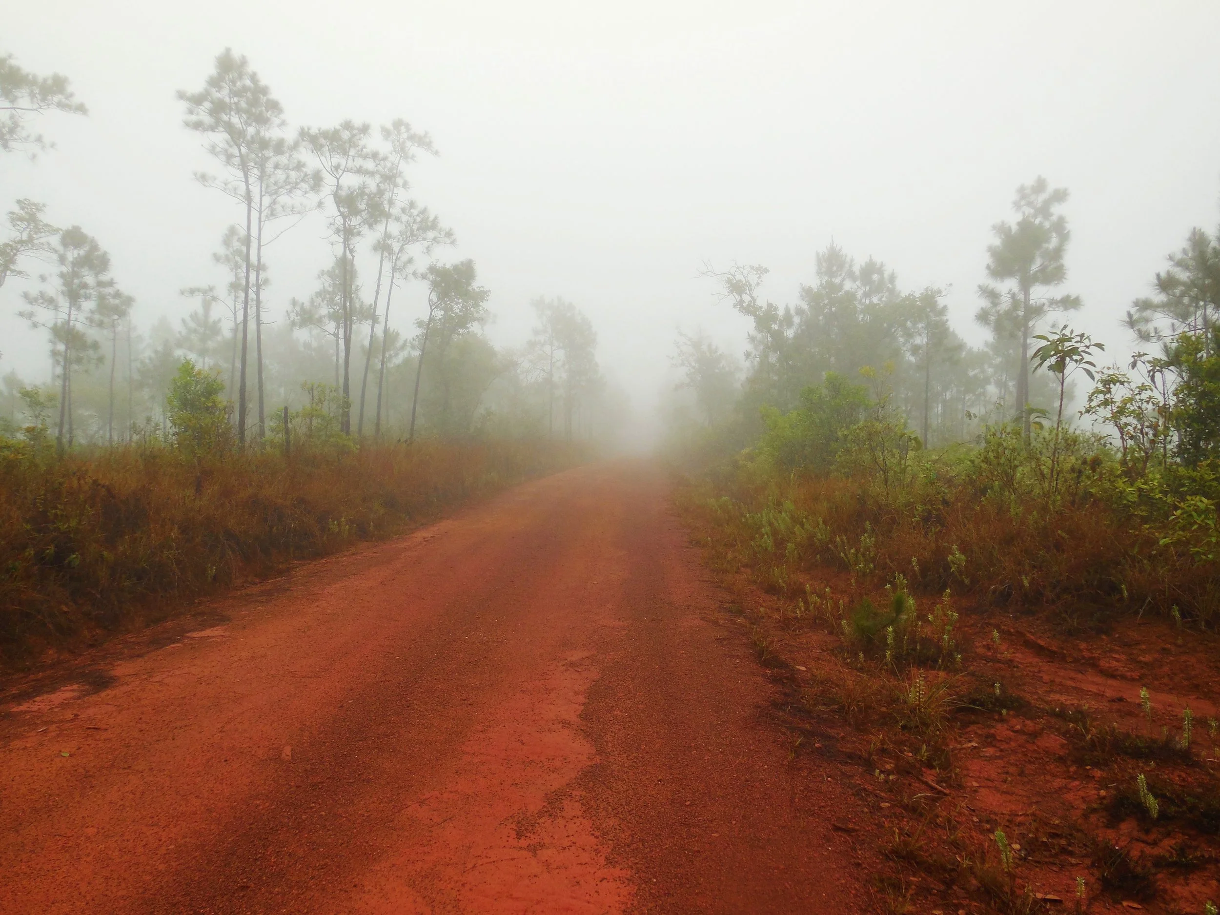 Red clay dirt road extends into the distance with huge layer of fog ahead.