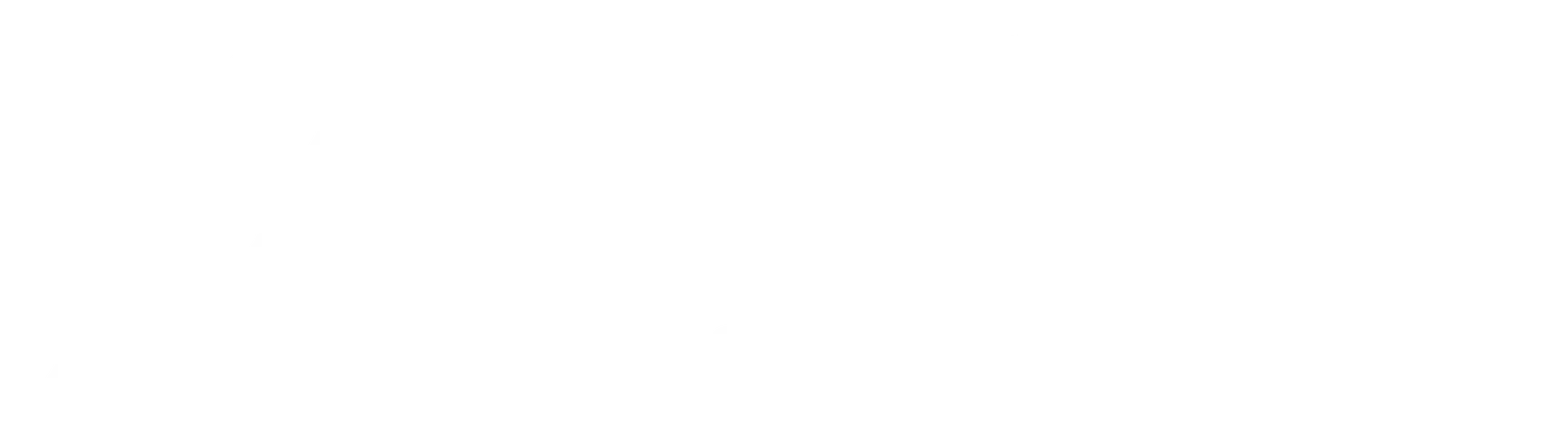 LOGO of the American Academy of Chiropractic logo in black and white