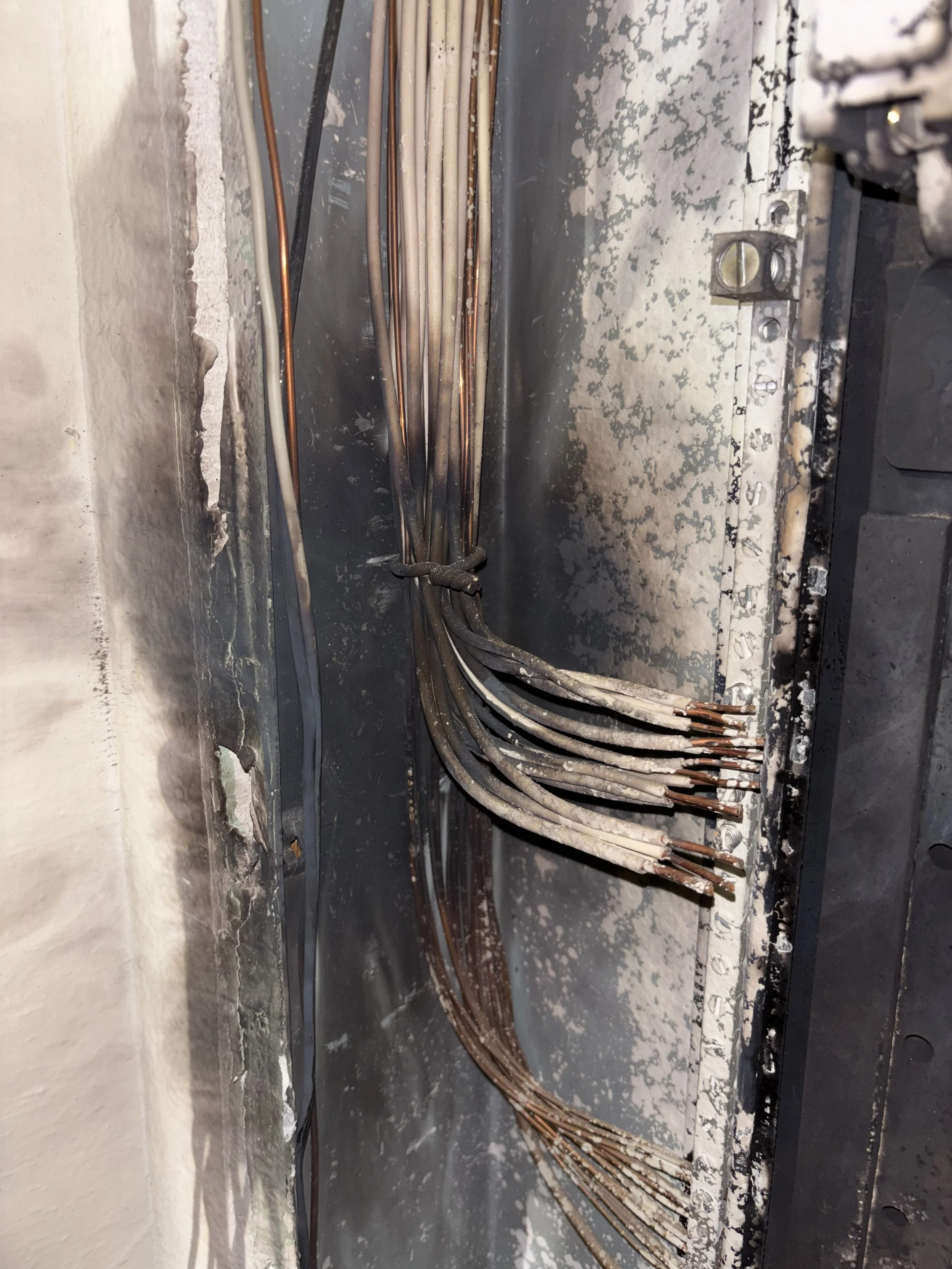 Exposed electrical wires with some insulation stripped, bundled and secured inside an industrial electrical panel or box.
