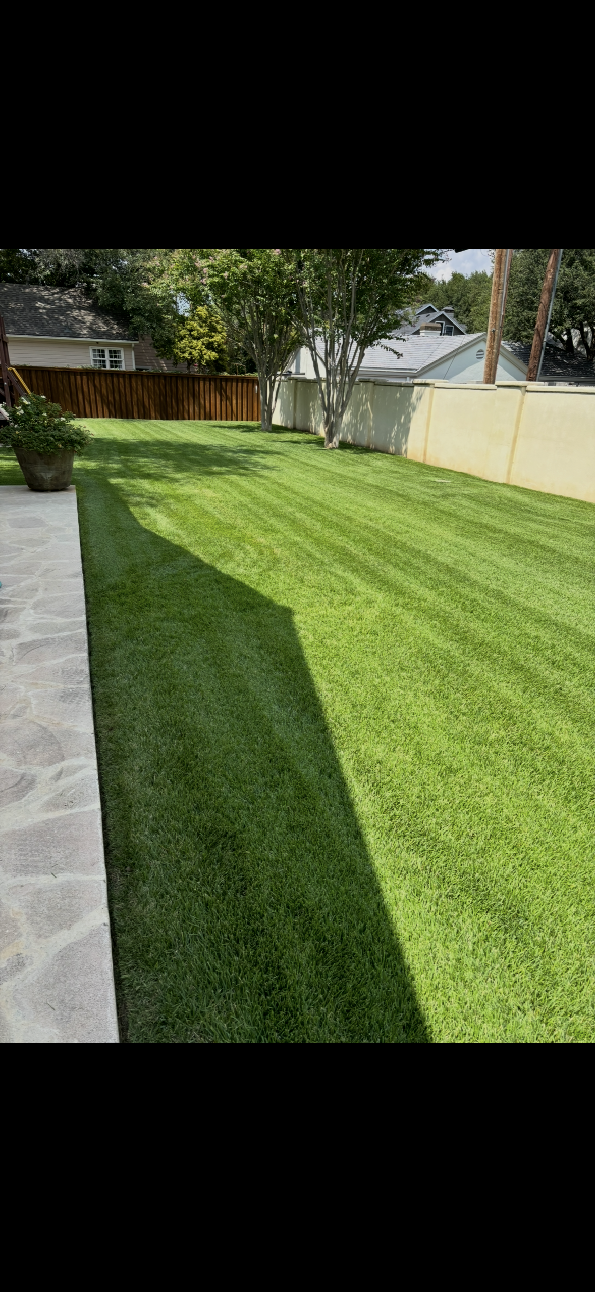 Lawncare Maintenance