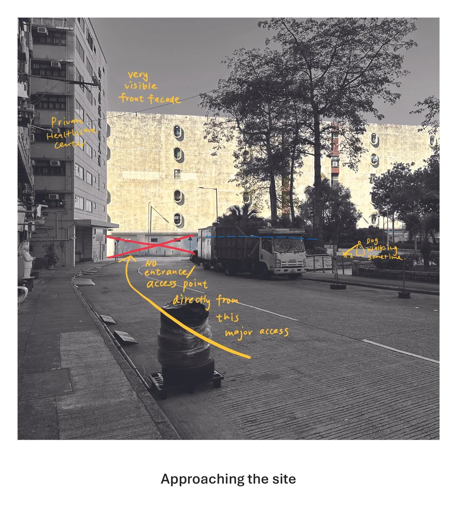 20250211-Photo analysis4.jpg