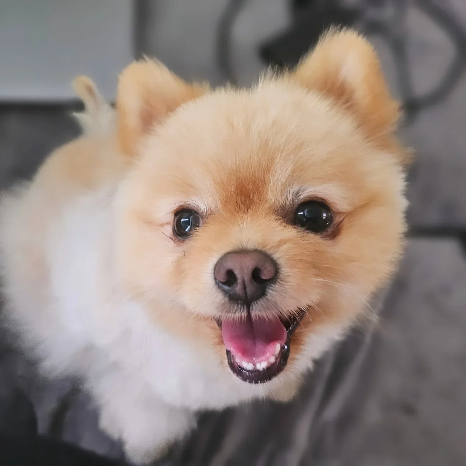 Day Care (between 7am-6pm)