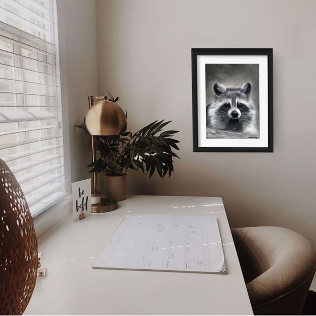 raccoon-small (5).jpg