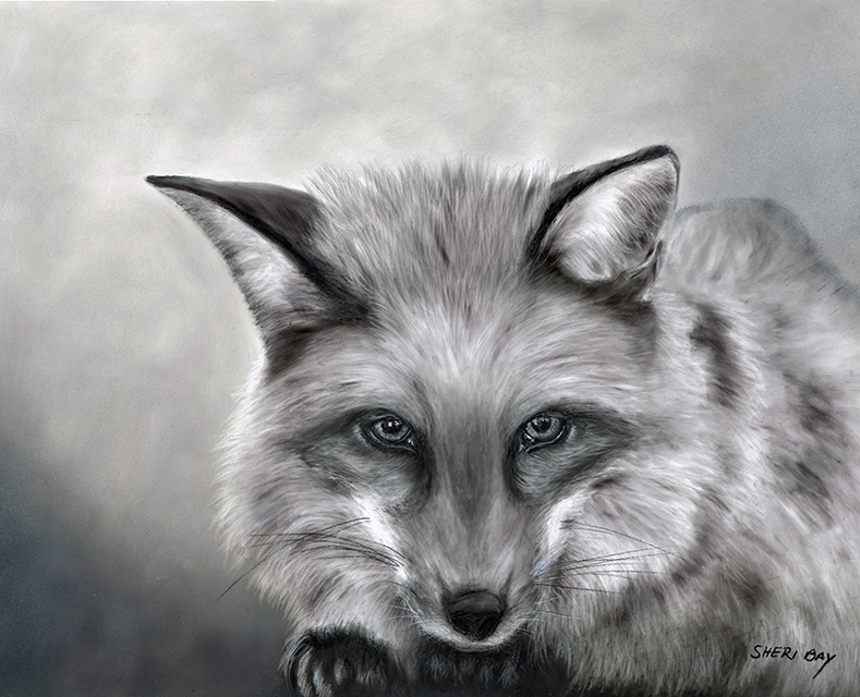 Fox.web.png