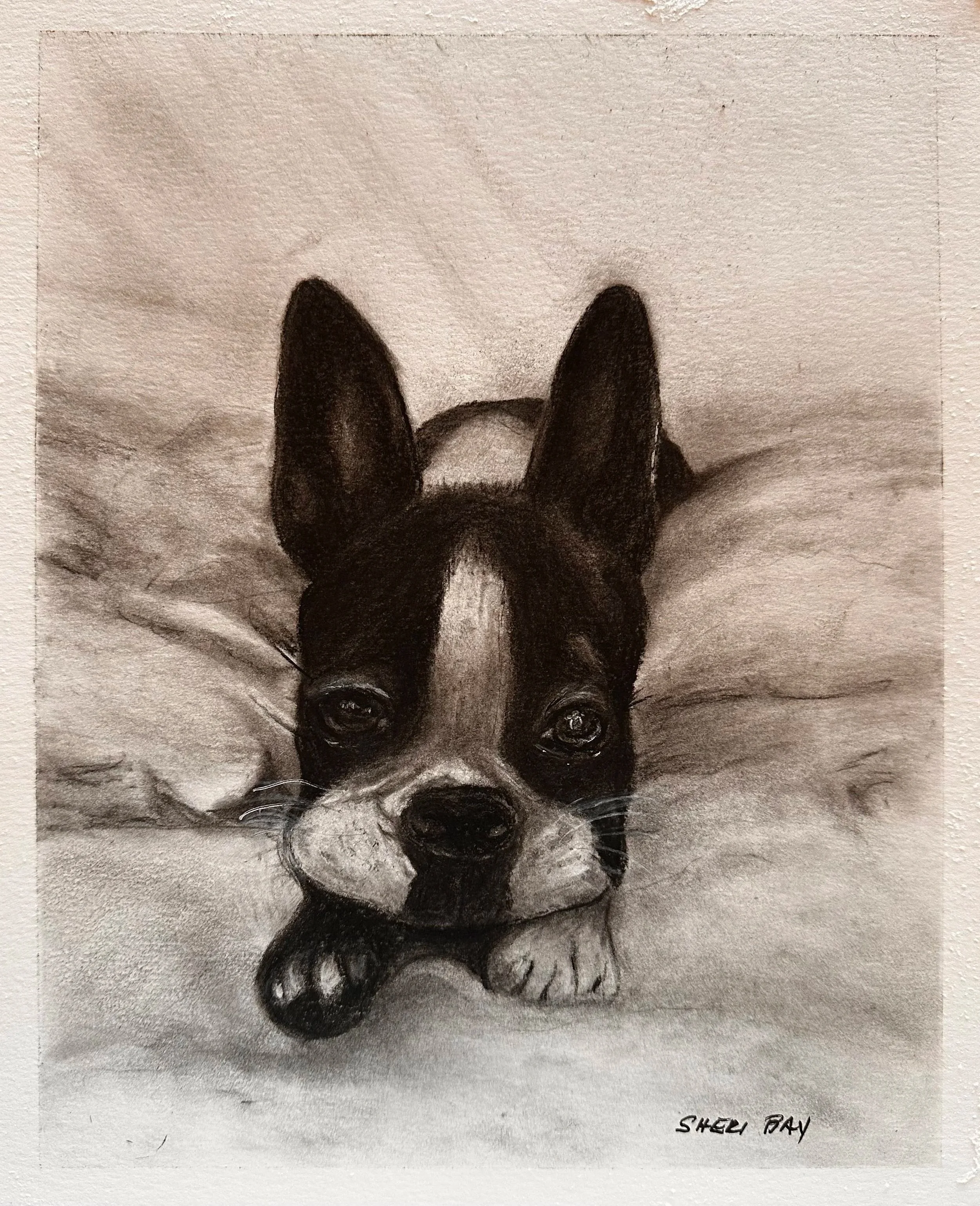 Charcoal on paper