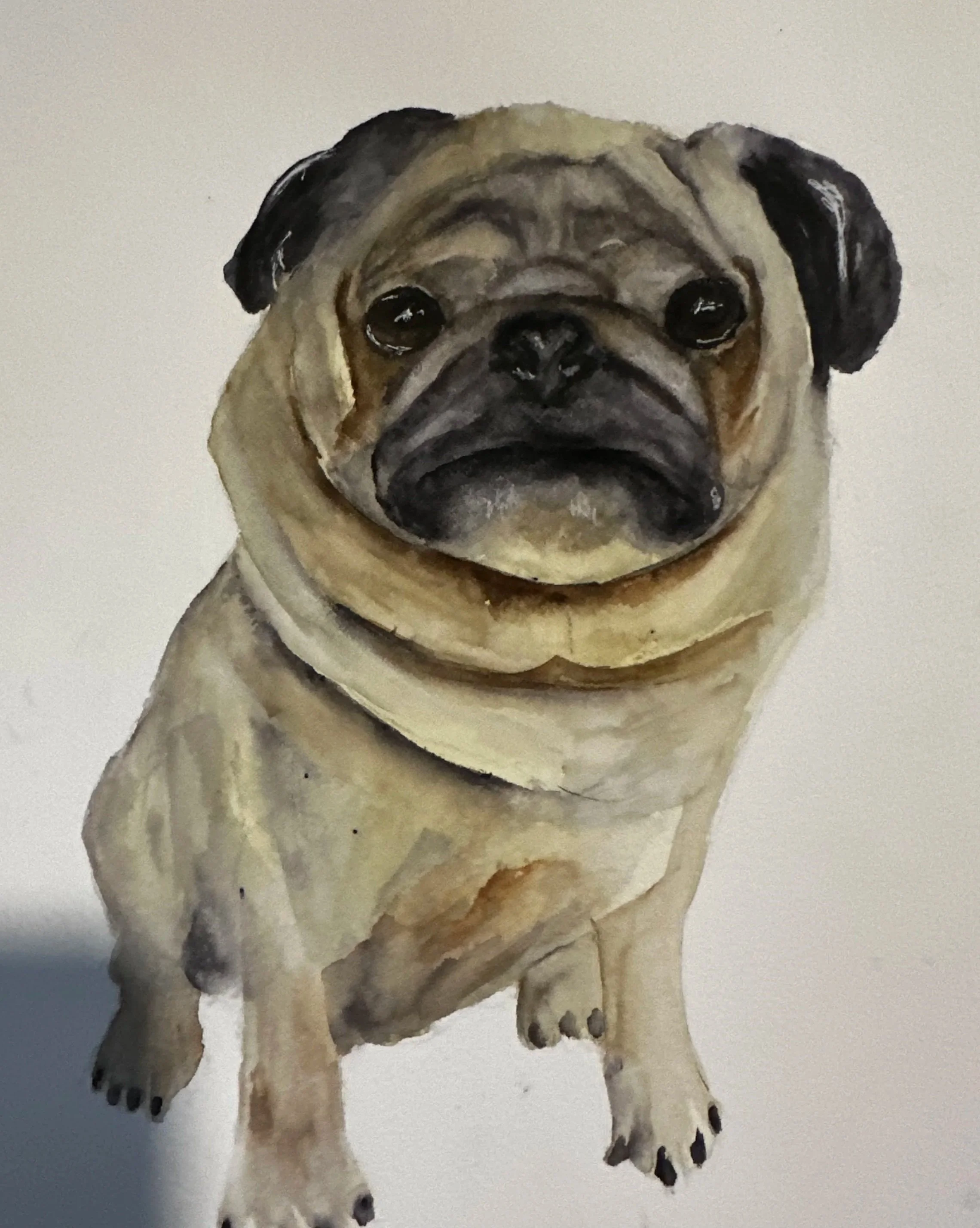 Watercolor