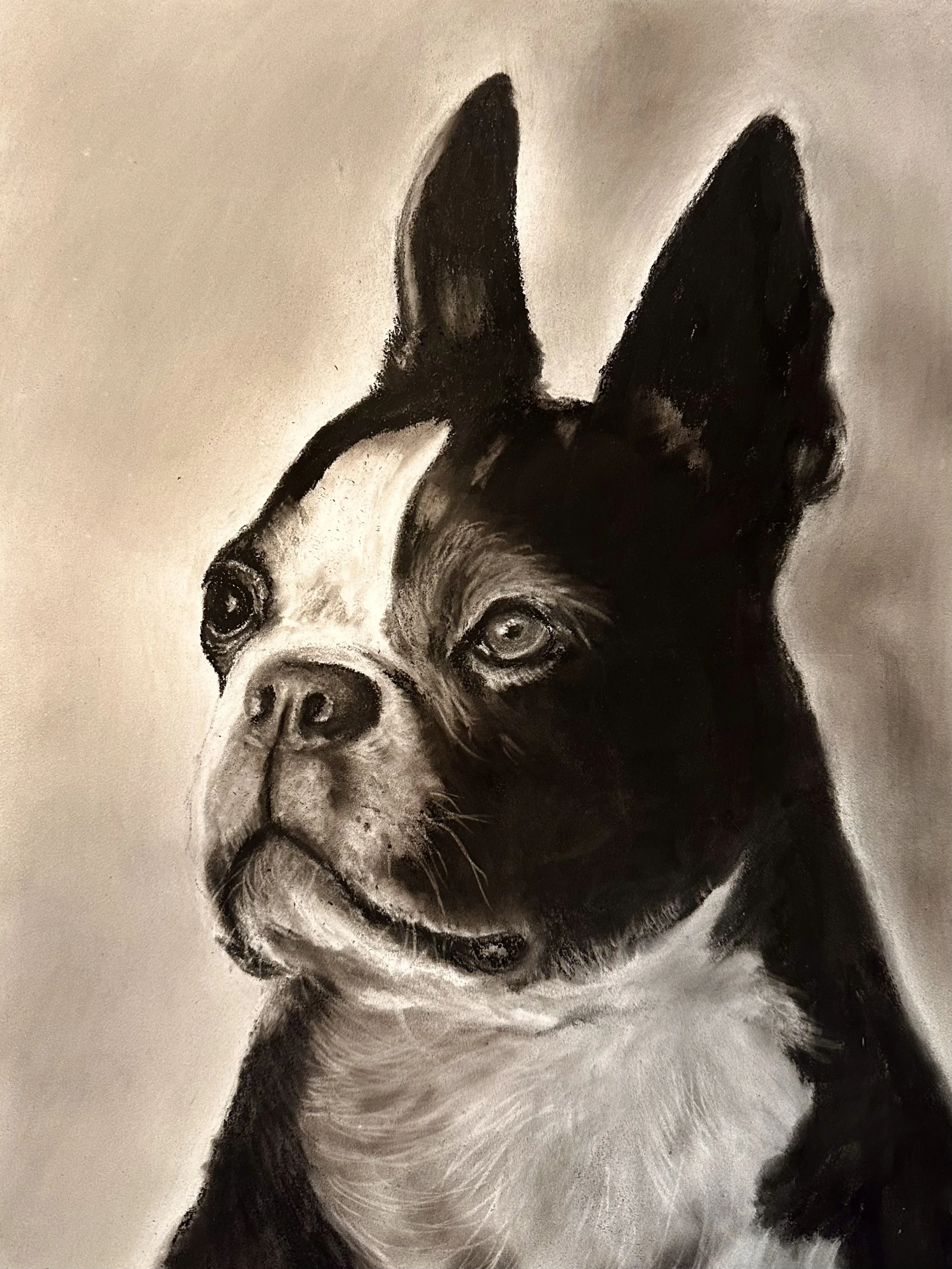 Charcoal on panel