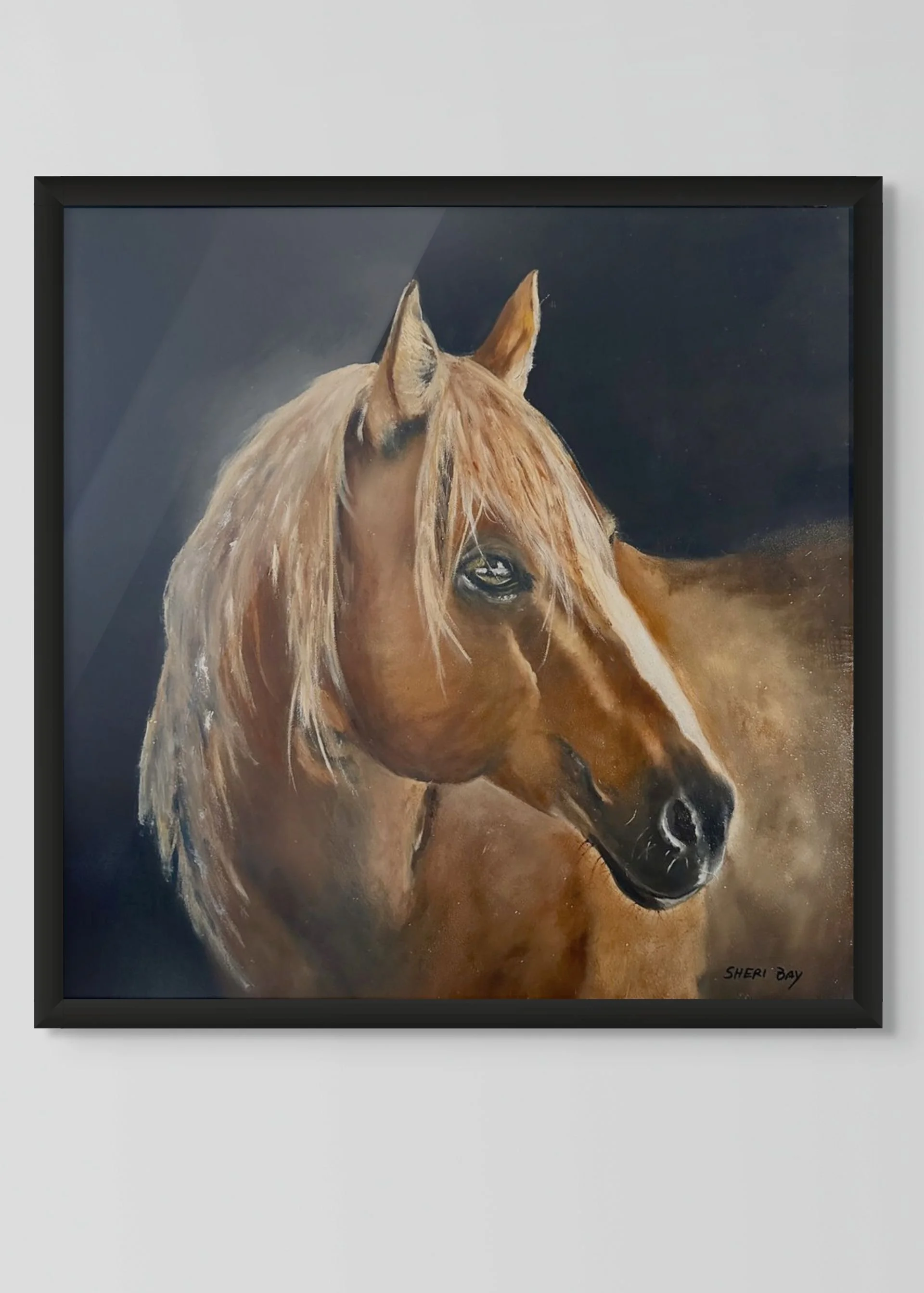 plain-medium (1).jpg