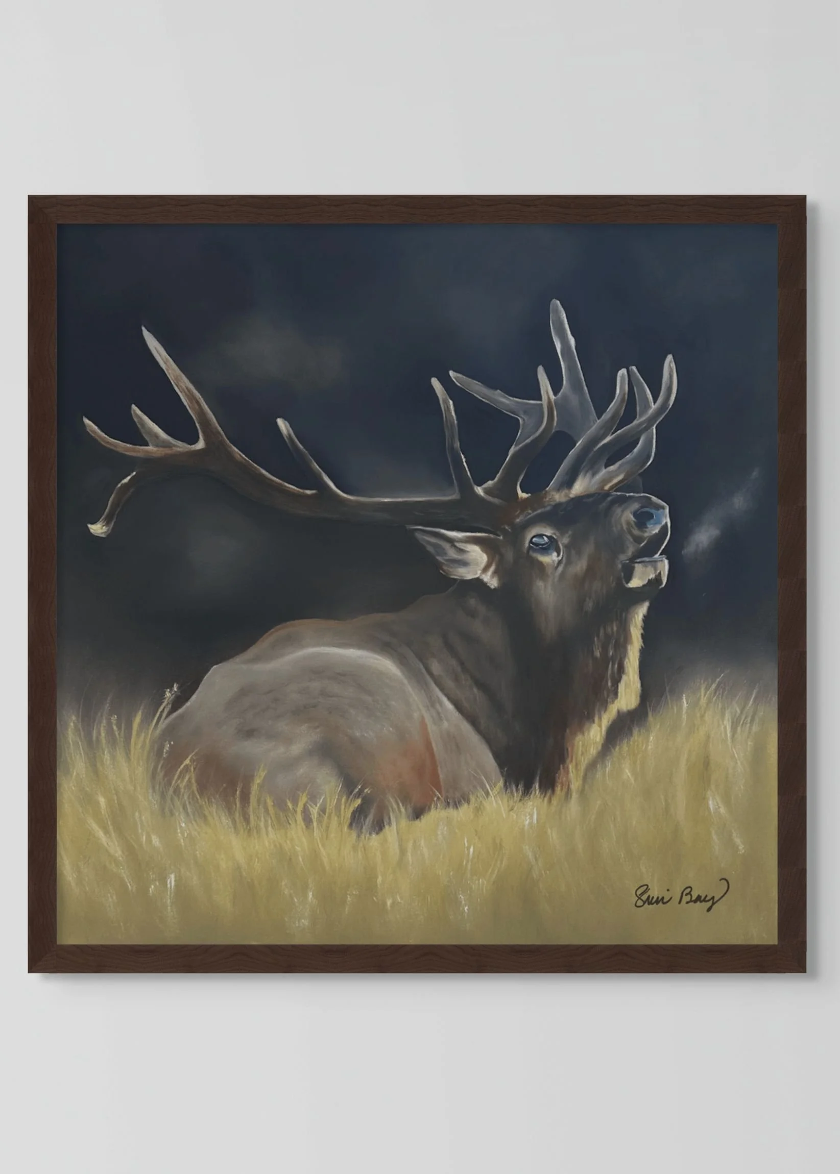 plain-custom (3).jpg