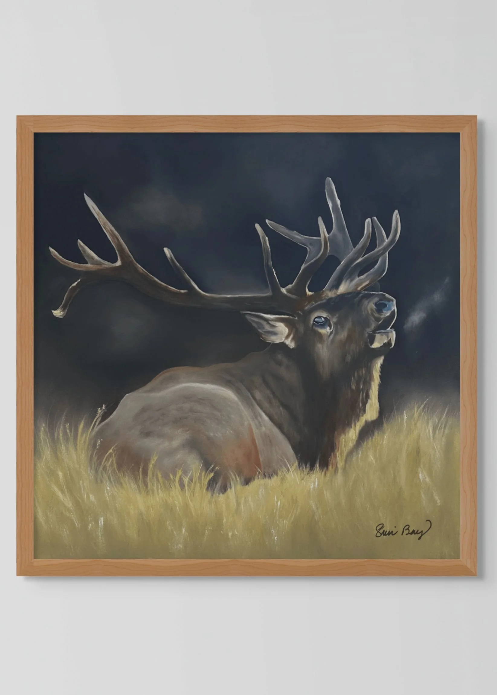 plain-custom (1).jpg