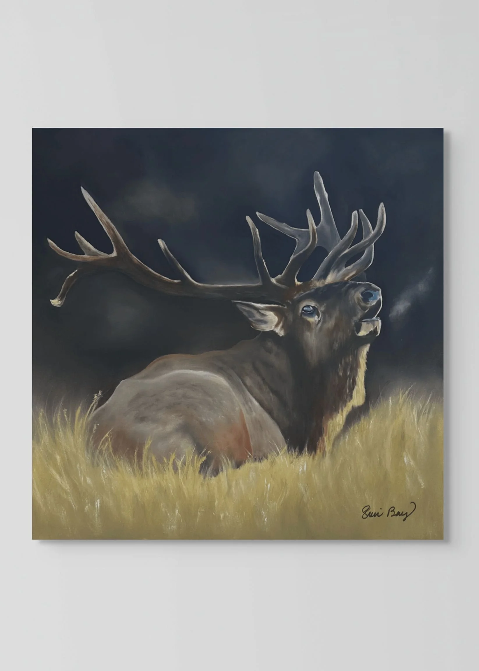 SYMPHONY OF SOLITUDE
36" X 36" oil on canvas
SOLD