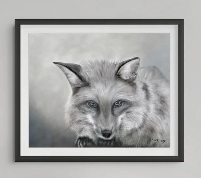 fox-small (6).jpg